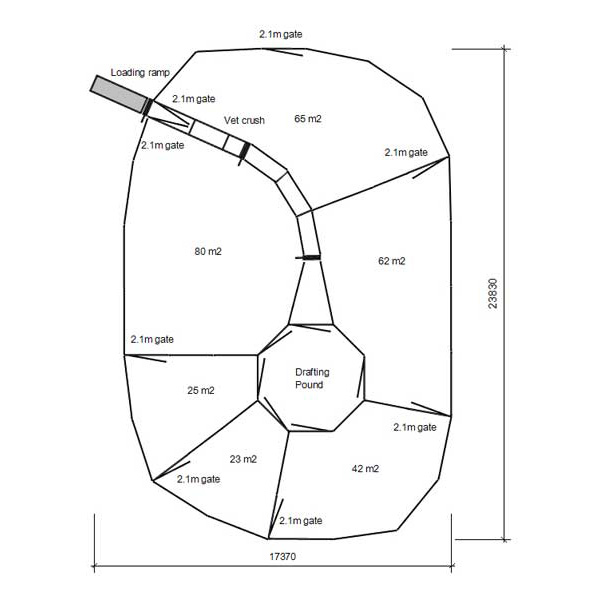 180 head cattle yard plan