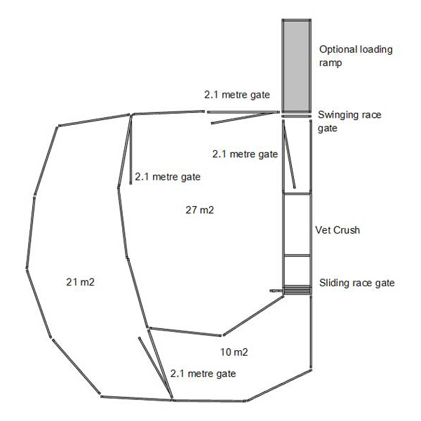 40 head cattle yard plan