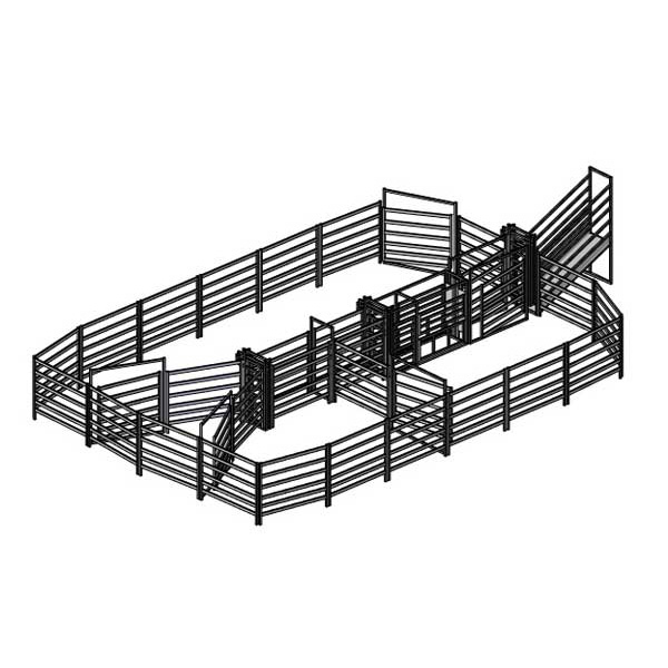 80 head cattle yard 3d