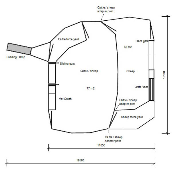 combo cattle sheep yards